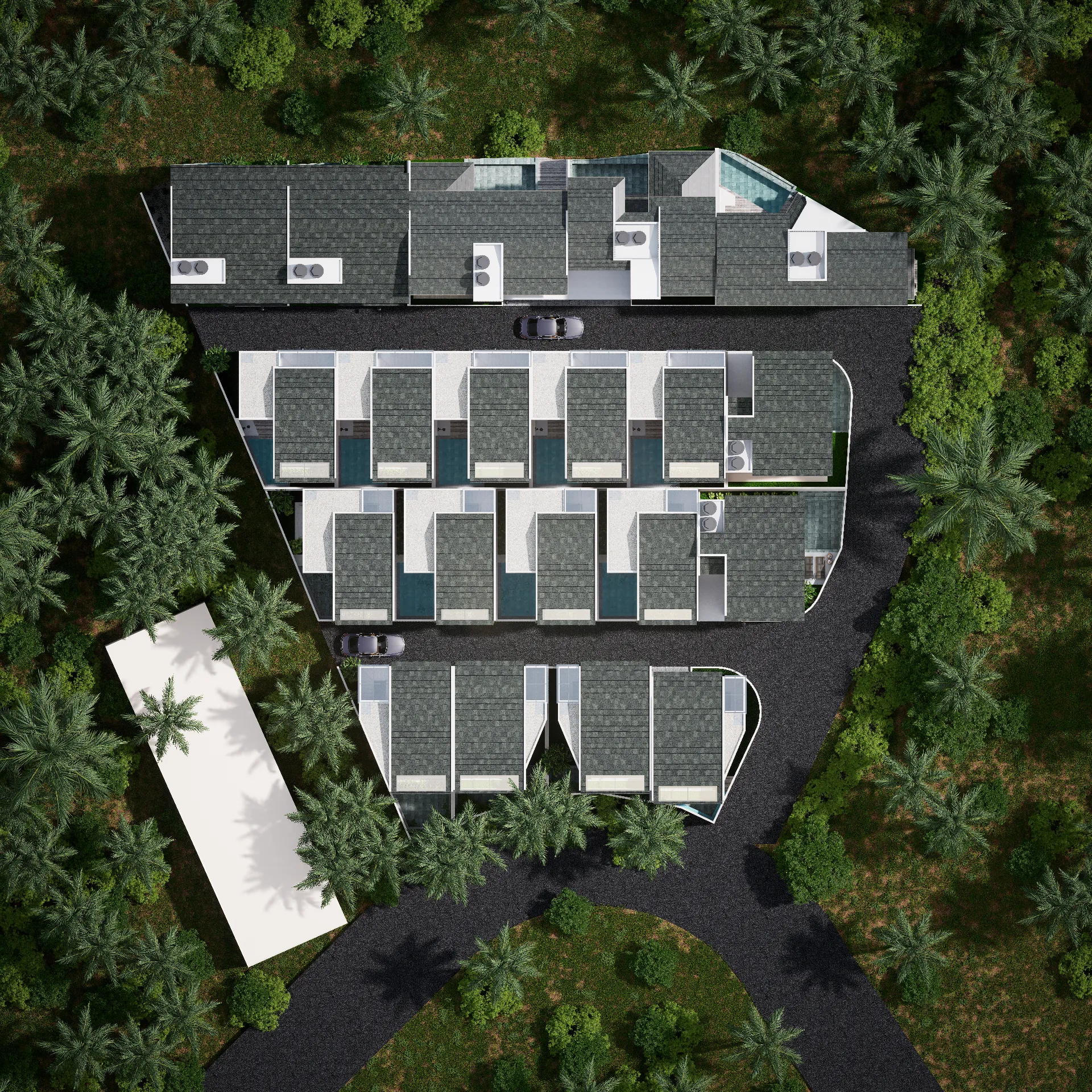Bird View 1
