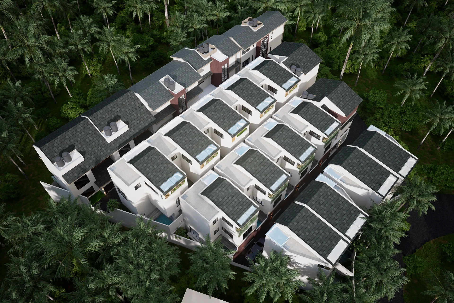 Bird View 2